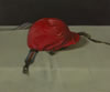 Jockey Cap - Private collection